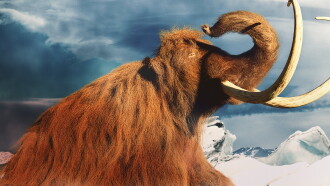 Mammoth Unearthed Trailer