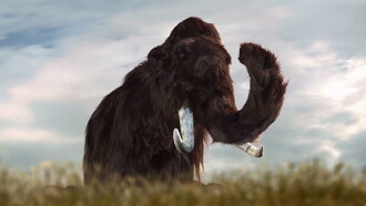 Mammoths: Giants of the Ice Age Trailer