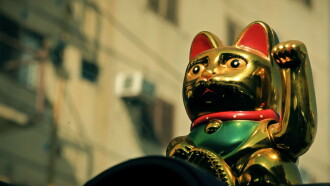 Manekineko Trailer