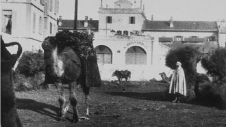 Marché aux charbons (avec chameaux) Trailer