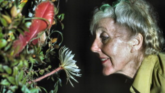 Margaret Mee and the Moonflower Trailer
