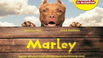 Marley Trailer