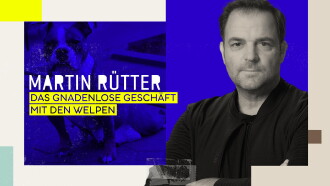 Martin Rütter - Das gnadenlose Geschäft mit den Welpen Trailer