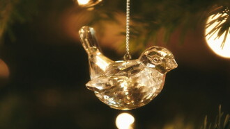 Mary Berry Saves Christmas Trailer