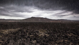 Mass Extinction: Life at the Brink Trailer