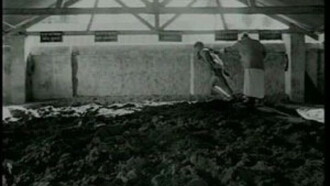 Matti Ke Lal, fils de la terre Trailer