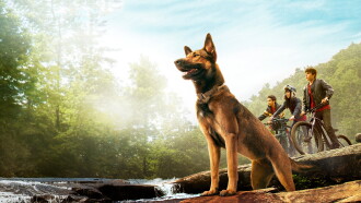 Max Trailer