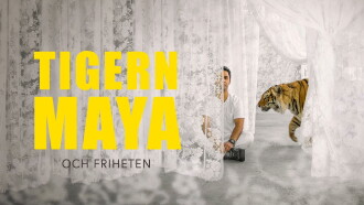 Maya Trailer