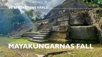Mayakungarnas fall Trailer