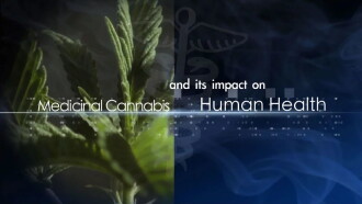 Medical Cannabis and Its Impact on Human Health Trailer