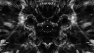 Meditations in Black and White I: Roots Trailer