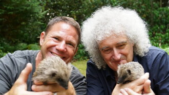 Meet the Hedgehogs Trailer