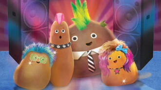Meet the Small Potatoes Trailer