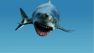 Megalodon Returns Trailer