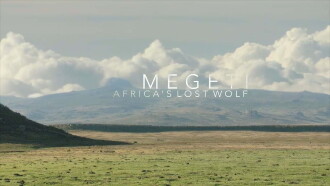 Megeti - Africa's Lost Wolf Trailer