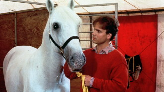 Mein Freund, der Lipizzaner Trailer