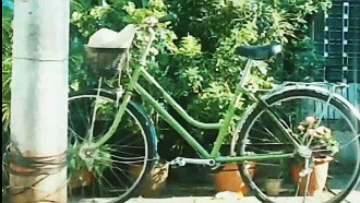 Memorandum of Softness Green Trailer