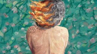 Memories of a Burning Body Trailer
