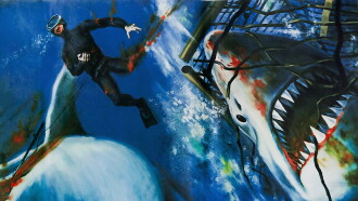 Men and Sharks Trailer