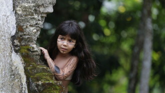 Menina Semente Trailer