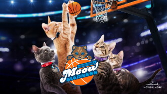 Meow Madness Trailer