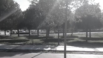 Mercan: Skate King Trailer