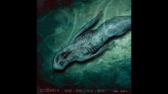 Mermaids Trailer