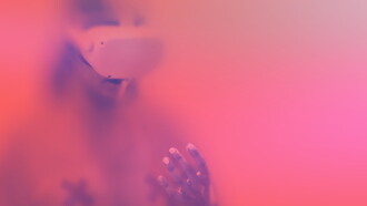 Méta sexe, le documentaire Trailer