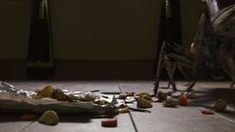 Metamorphosis Trailer