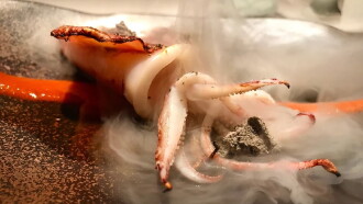 Michelin Stars: Tales from the Kitchen Trailer
