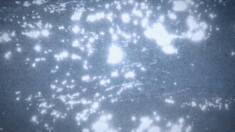 Microcosmos Trailer
