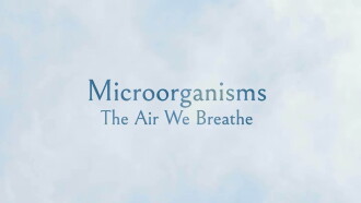 Microorganisms: The Air We Breathe Trailer