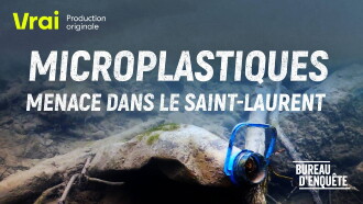 Microplastiques : Menace dans le Saint-Laurent Trailer