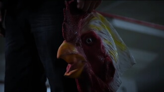 Midnight Animal Trailer