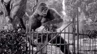 Mighty Joe Young Trailer