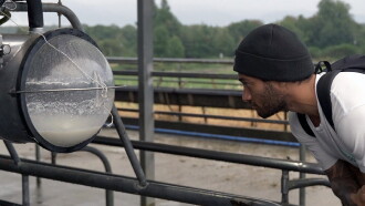 Milked Trailer