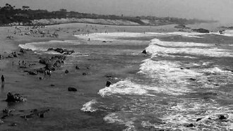 Miramar, Praia das Rosas Trailer