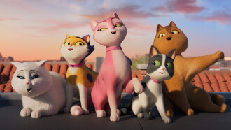 Miss Moxy Trailer