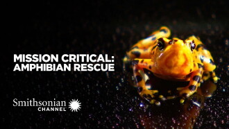 Mission Critical: Amphibian Rescue Trailer