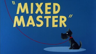 Mixed Master Trailer