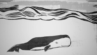 Moby Dick: An American Allegory Trailer