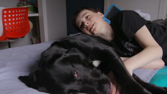 Moi et mon chien Trailer