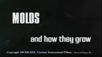Molds and How They Grow Trailer