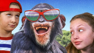 Monkey Business Trailer