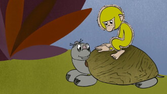 Monkey From the Island of Sarugashima Trailer