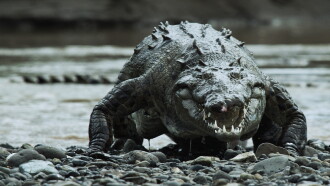 Monster Croc Invasion Trailer
