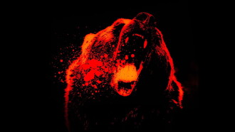 Monster Grizzly Trailer