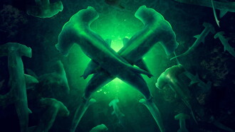 Monster Hammerheads: Species X Trailer