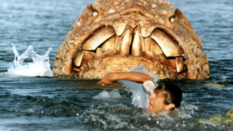 Monster Shark Trailer