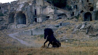 Montedoro Trailer